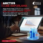 Vega Cube
